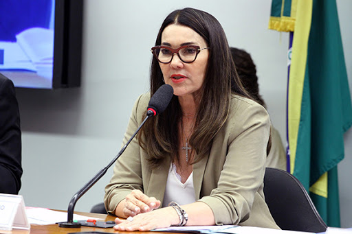 Relatora do grupo sobre reforma eleitoral apresenta plano de trabalho