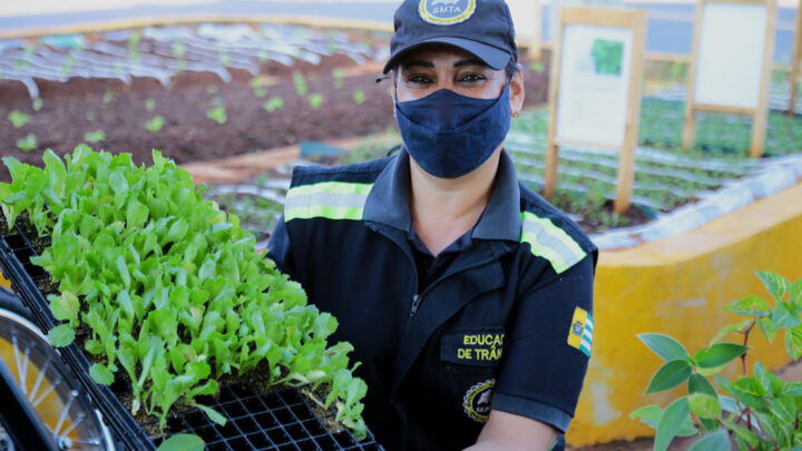 SMTA distribui mudas e incentiva plantio de horta no mês do meio ambiente