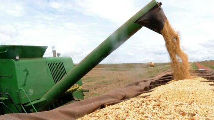 Produção de grãos crescerá 27% nos próximos dez anos