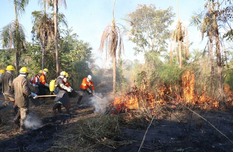 Comitê lança brigada rural contra incêndios em Anápolis