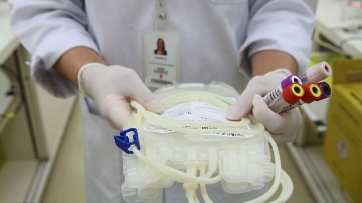 Mais de cinco milhões de pessoas estão cadastradas em rede de doadores de medula óssea