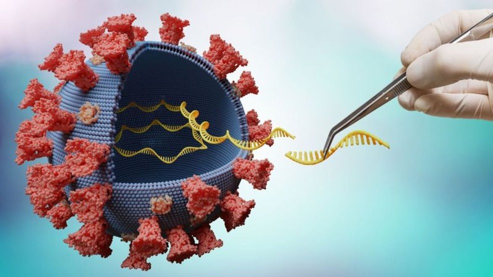 Nova versão da variante Gamma é detectada em mais amostras