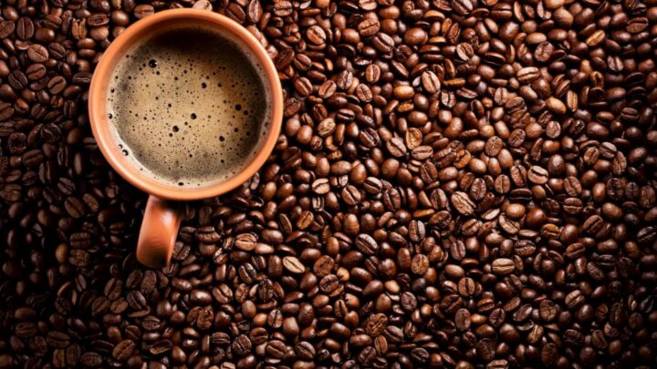 Produção de café deve aumentar 6,7% em Goiás