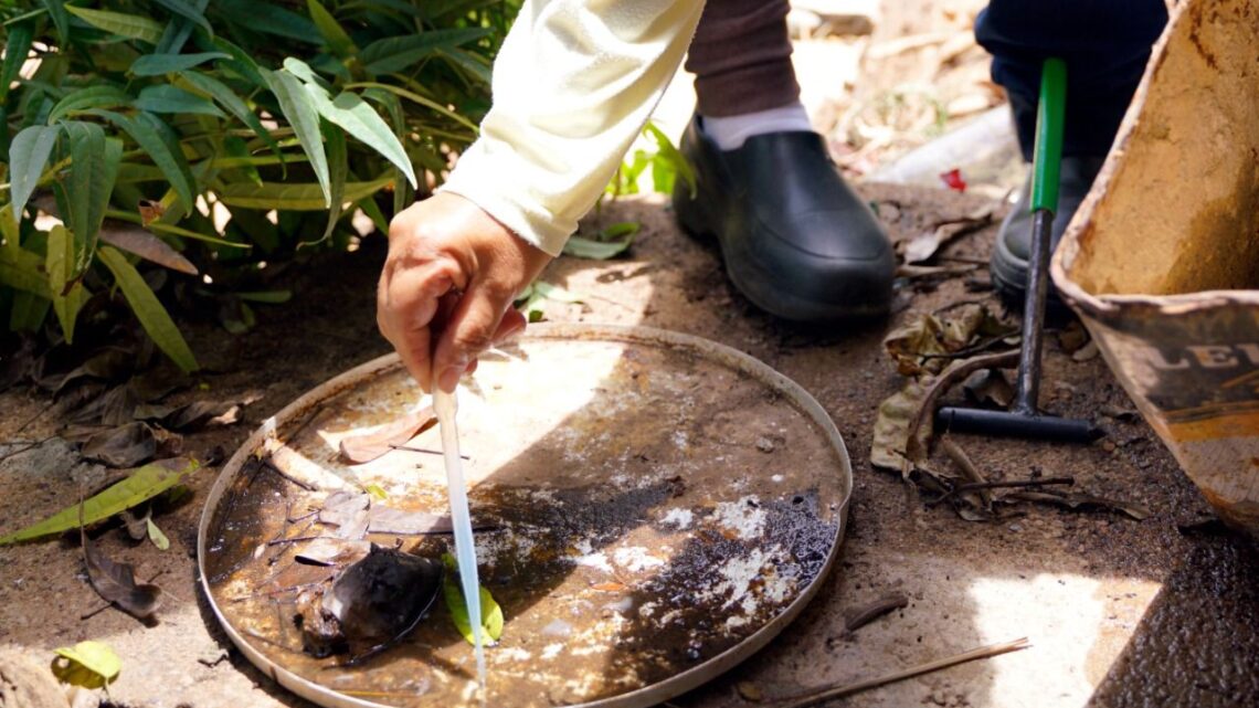 Governos de Goiás e do DF unem esforços contra ‘Aedes aegypti’ no entorno