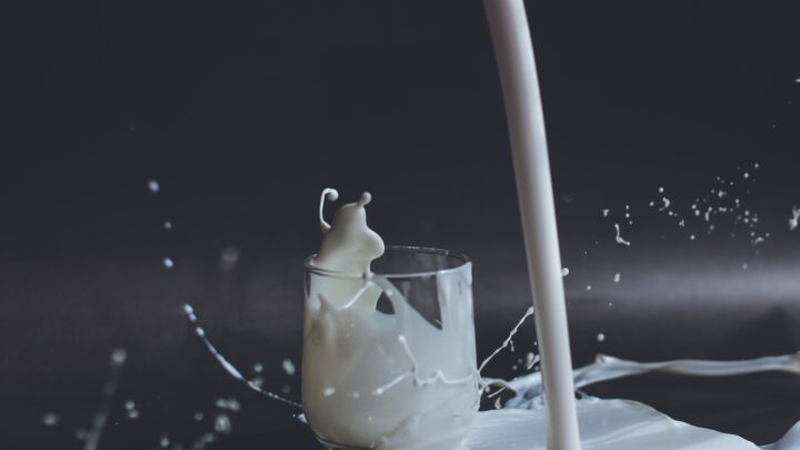 Alimentação sem lactose: entenda o problema e veja como fazer substituições saudáveis