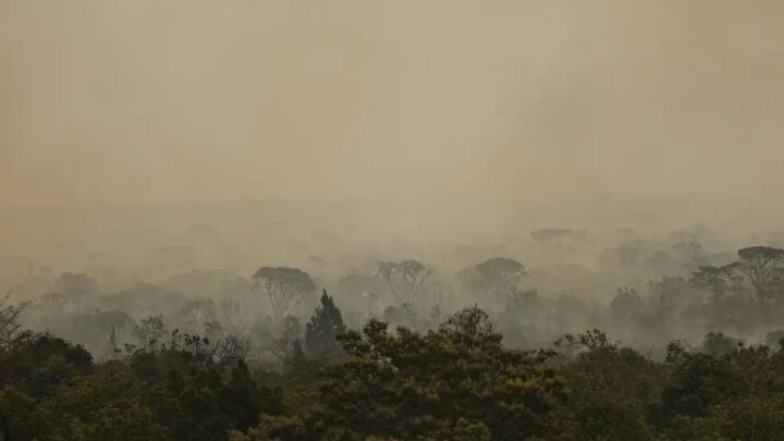 Polícia Federal investiga incêndios no DF e na Chapada dos Veadeiros