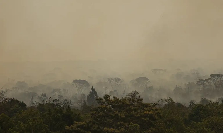 Polícia Federal investiga incêndios no DF e na Chapada dos Veadeiros