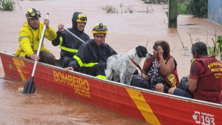 Goiás Alerta e Solidário intensifica trabalho de resgate em meio às fortes chuvas