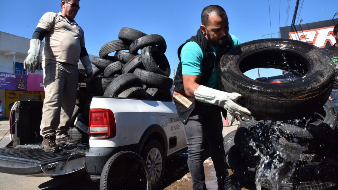 Prefeitura de Aparecida realiza grande mutirão de coleta de pneus