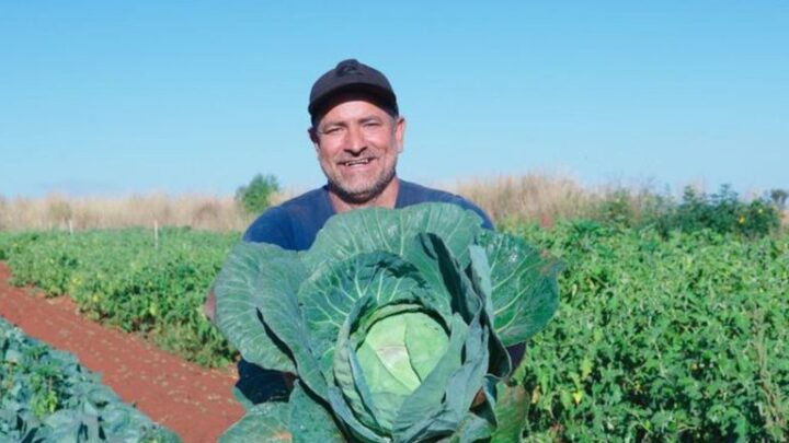 Agricultura familiar tem até dezembro para renegociar débitos pelo Desenrola Rural