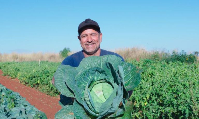 Agricultura familiar tem até dezembro para renegociar débitos pelo Desenrola Rural