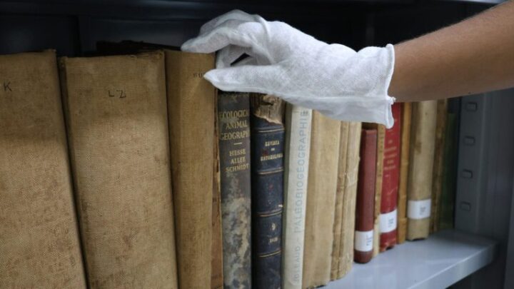 Biblioteca às margens do Lago Tefé reúne 28 mil obras sobre a Amazônia