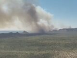 Incêndio já atingiu mais de 10 mil hectares do Parque Estadual de Terra Ronca, aponta levantamento