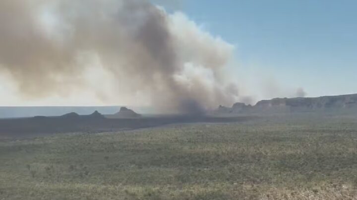 Incêndio já atingiu mais de 10 mil hectares do Parque Estadual de Terra Ronca, aponta levantamento