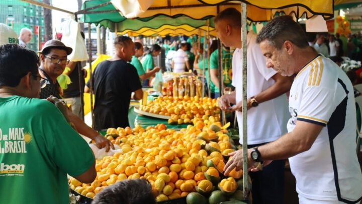 Festa do Pequi terá almoço gratuito e programação cultural em Goiânia